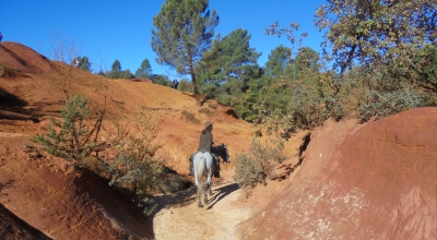 rando cheval