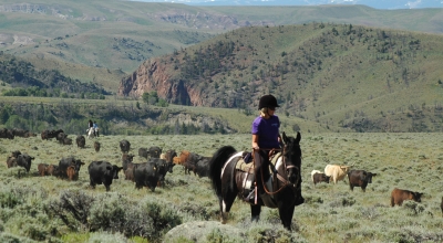 rando cheval Usa