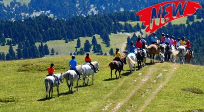 rando à cheval ado Vercors