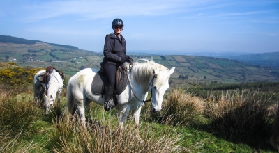 Irlande : Fête du cheval de Ballinaloe