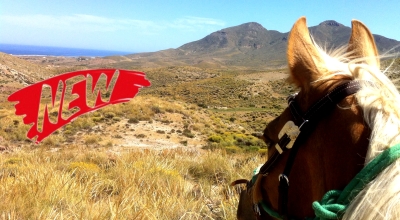 rando a cheval en Andalousie