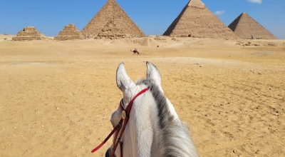 voyage à cheval en Egypte