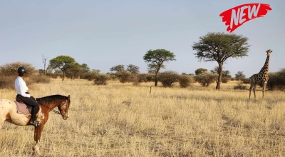safari a cheval Namibie