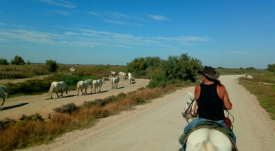 horse riding safari