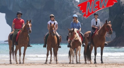 Andalousie : Parc de la Doñana, perle de l'Andalousie