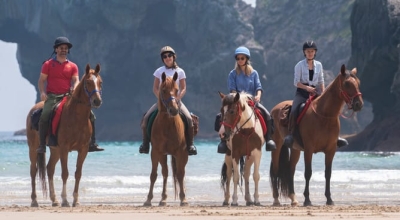Andalousie : Parc de la Doñana, perle de l'Andalousie