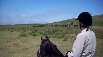 rando a cheval portugal