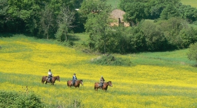 randonnee a cheval privée