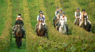 rando cheval bordeaux