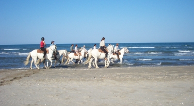 randonnée à cheval en Camargue