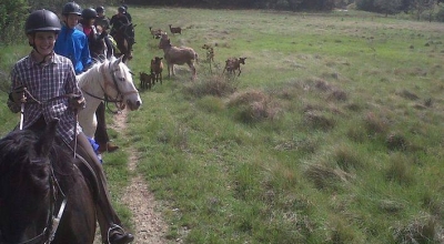 week end a cheval en provence