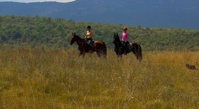 randonnée à cheval en Croatie