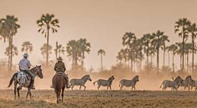 safari a cheval Botswana