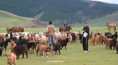 faire du cheval en mongolie