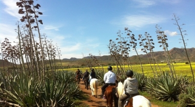 stage intitiation cheval en espagne