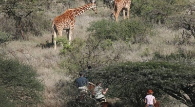 safari Kenya a cheval