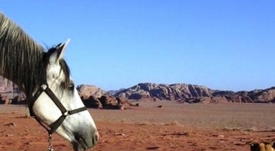 randonnee a cheval jordanie