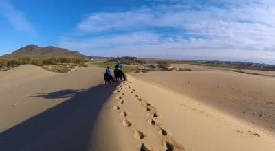 trek a cheval Mongolie