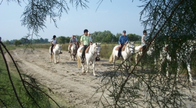 randonnee a cheval camargue