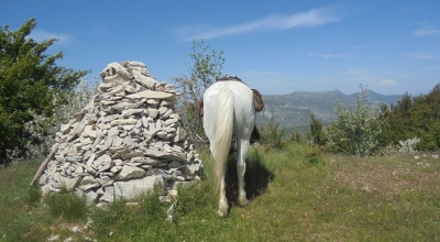 randonnee a cheval provence