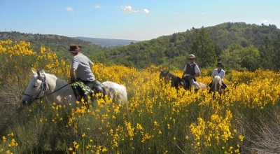 séjour à cheval Luberon