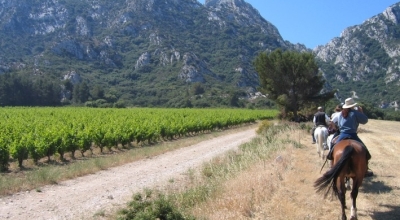 randonnée à cheval dans les alpilles