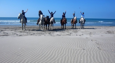 randonnee cheval camargue