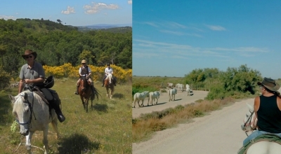 provence a cheval
