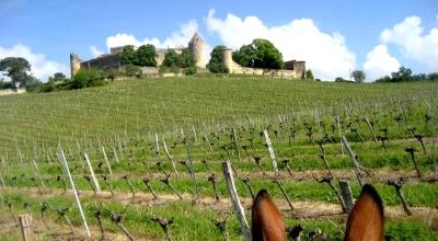 randonnee a cheval bordeaux