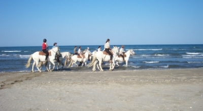 vacances a cheval en camargue