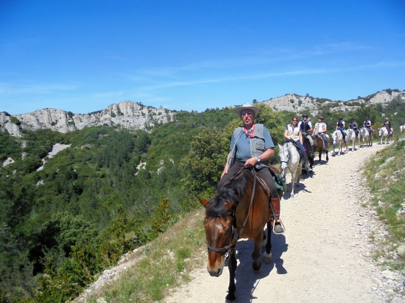 rando cheval en Provence et Alpilles
