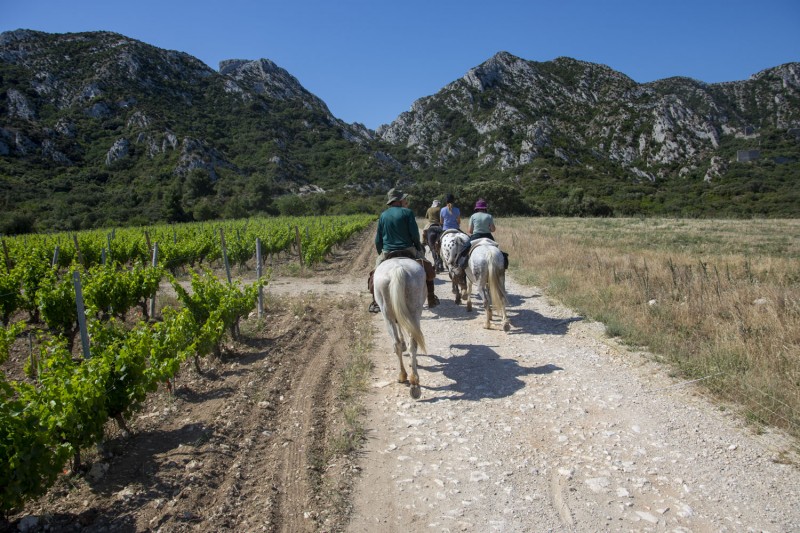 voyage à cheval Alpilles Provence