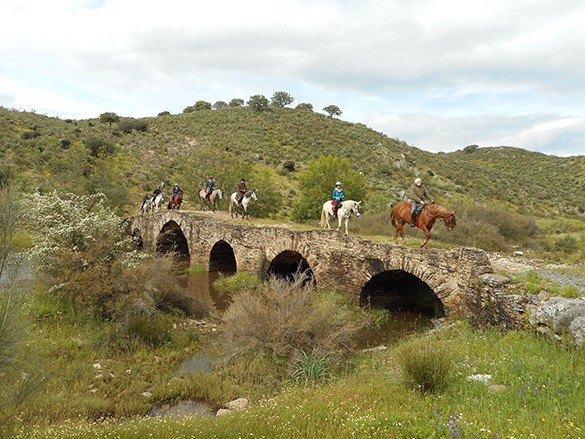 a cheval en Espagne