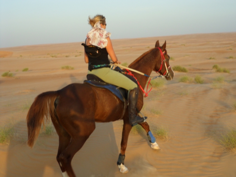 randonnée équestre Oman
