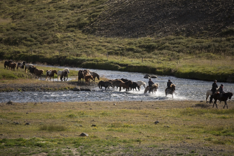 Faire une randonnée à cheval en Islande
