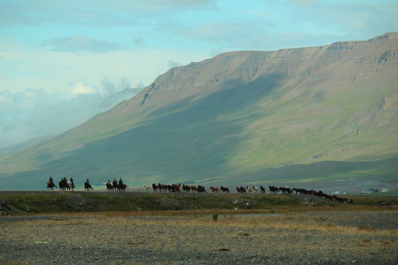 semaine à cheval en Islande