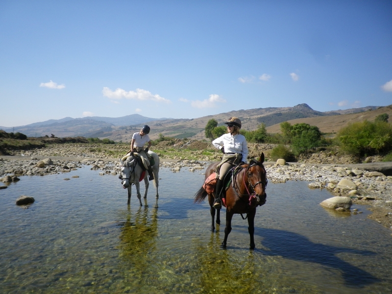 voyage cheval Sicile