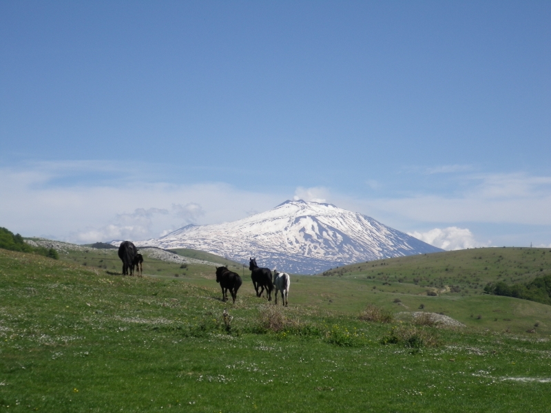 rando equestre en Sicile