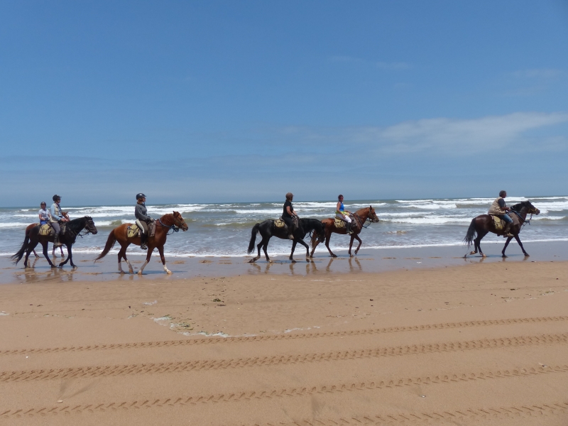 rando cheval maroc