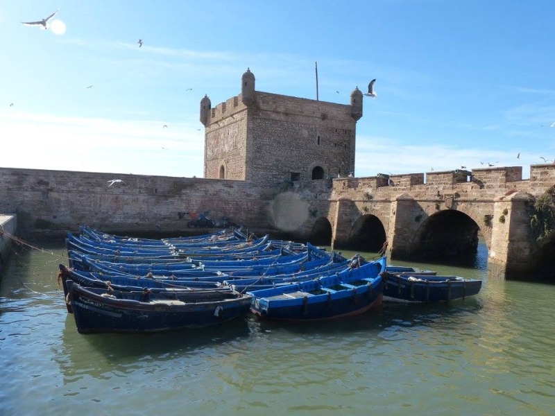 voyage cheval maroc