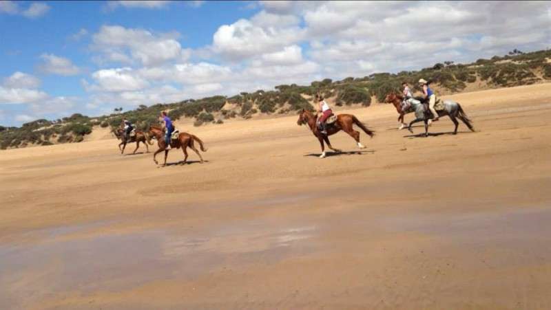 voyage a cheval au Maroc