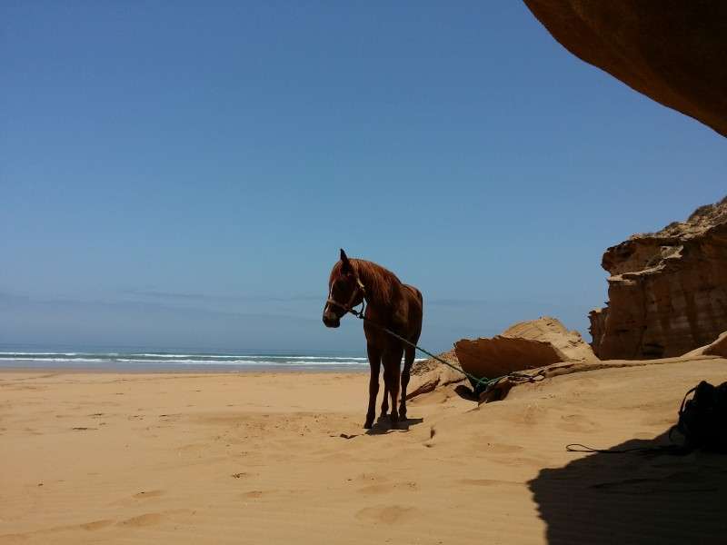vacances a cheval Maroc