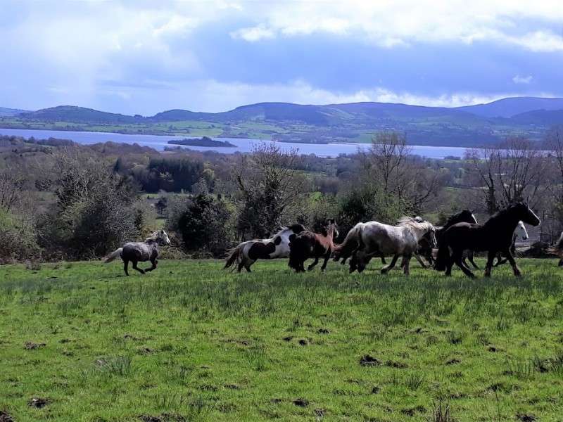 rando a cheval en irlande