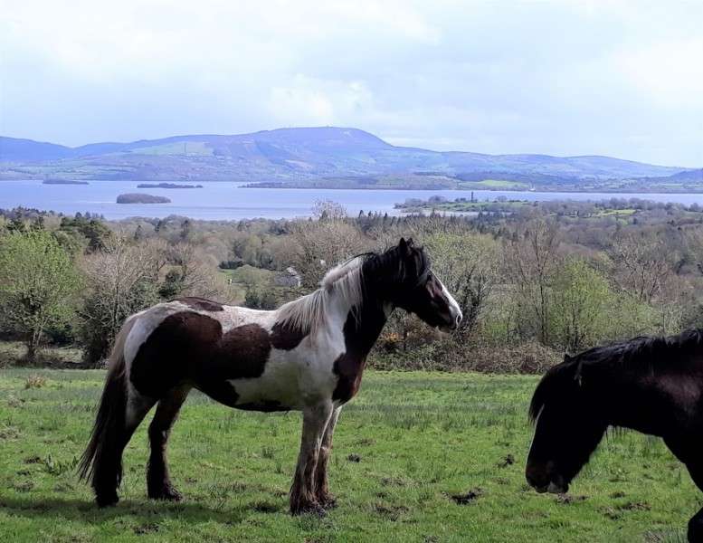 rando cheval en irlande