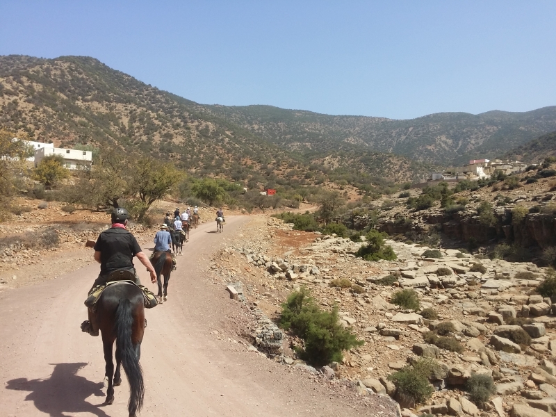 rando cheval au Maroc