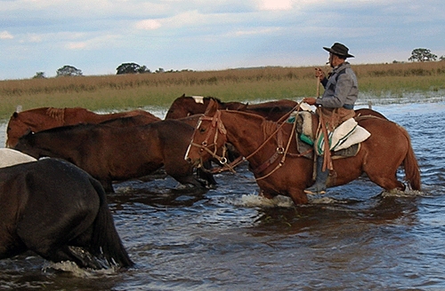 randonnée à cheval en Argentine