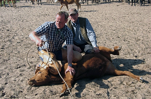 tourisme equestre en argentine