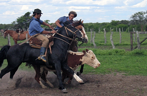 l'argentine a cheval