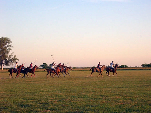 a cheval en argentine amerique du sud