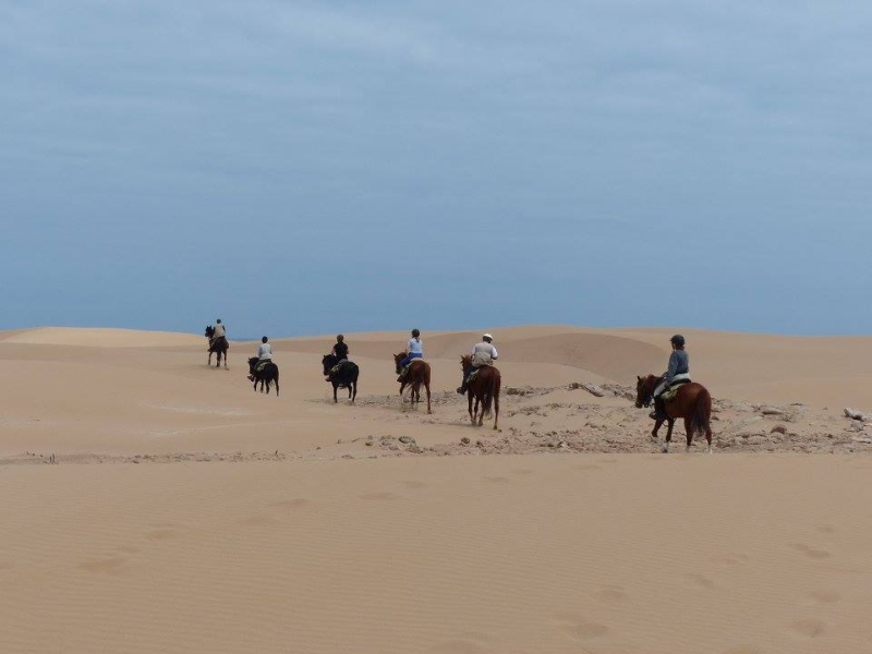 a cheval au maroc